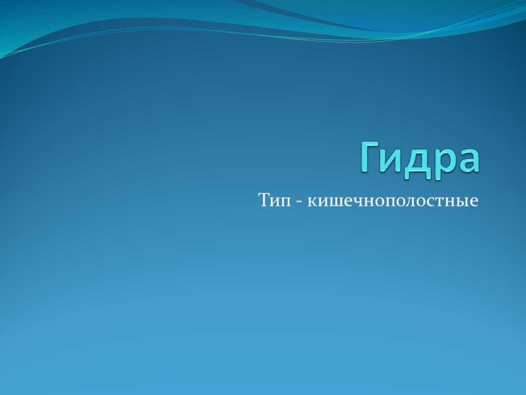 Что такое кракен даркнет