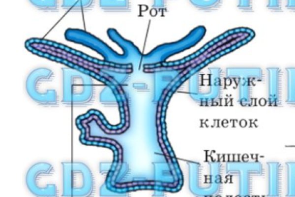 Ссылка на кракен площадка